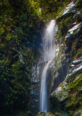 Fototapeta na wymiar Waterfall.