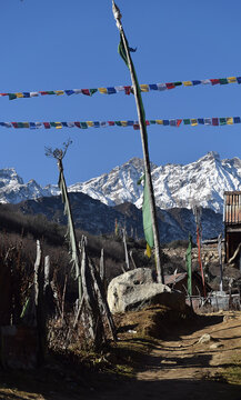 Panoramic landscape view of tibetan prayer flags raised in Lachen with snowcapped great Himalayas in the background in North Sikkim, India