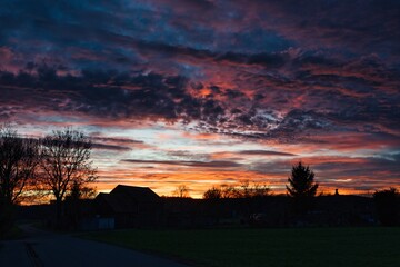 Wonderful red sky after sunset with trees in foreground