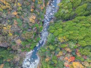 やなだにキャニオン