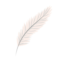 Feather isolated on white background. Vector illustration for design. Clipart, icon