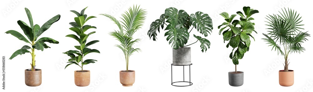 Canvas Prints collection of beautiful plants in ceramic pots isolated on transparent background. 3d rendering.