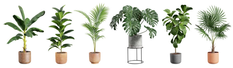 Fotobehang Collection of beautiful plants in ceramic pots isolated on transparent background. 3D rendering. © schab