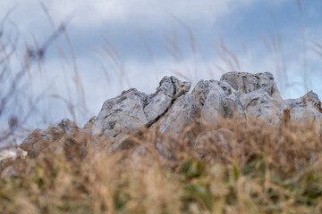 Obraz premium 四国カルスト