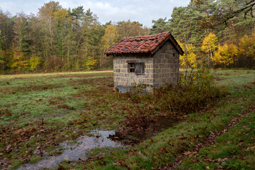 Traditional hut in a clearing in the middle of a forest
