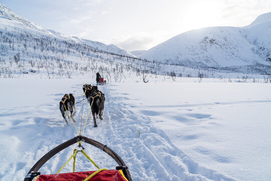 Hundeschlittenfahrt in Norwegen Tromso