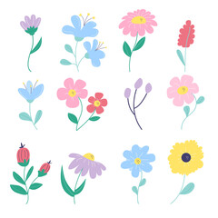 Collection of spring, summer flowers. Vector