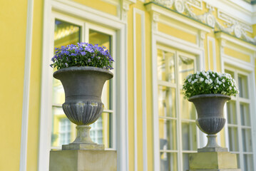 Flowerpots with flowers on the background of a beautiful house