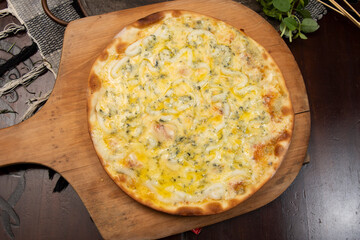 Brazilian pizza with 4 cheeses and onion