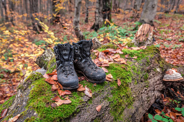 Used hiking boots in the wet forest