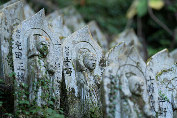 岩屋寺