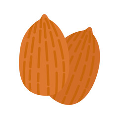 Two almonds nuts without shell isolated on white background.