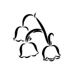 Vector isolated single lily valley branch colorless black and white contour line drawing
