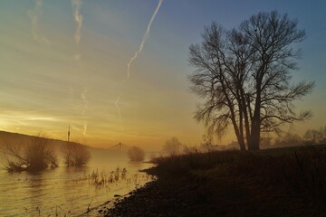 Morgens an der Elbe in Dresden 005