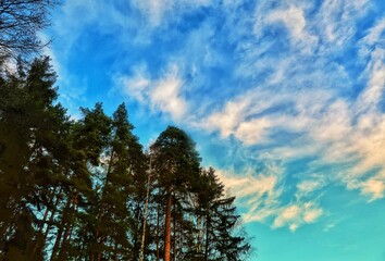 sky and clouds
