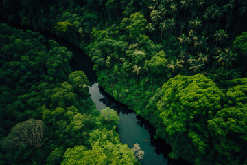 Obraz premium overhead image of a woodland in deep green abundant rainforest natural habitats. Reforestation and maintenance of the natural forest concept. Generative AI