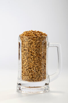 Jarra cervecera con cebada en grano