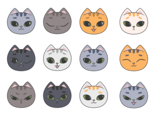 Collection of portraits of cute cats with different emotions - happiness, thoughtfulness, sadness, anger. Illustration on transparent background