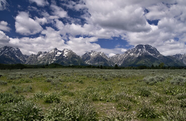 Landscape of Grand Teton