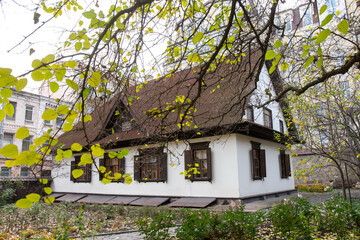 Fototapeta na wymiar old Ukrainian house on the background of autumn nature