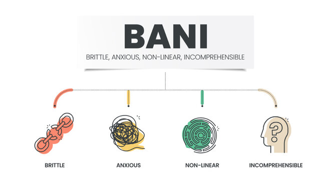 BANI is an acronym made up of the words brittle, anxious, non-linear and incomprehensible. BANI world infographic template with icons. BANI world concept for presentation. Diagram vector illustration.