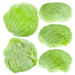 Fototapeta premium Fresh green cabbage collection isolated on white background with clipping path