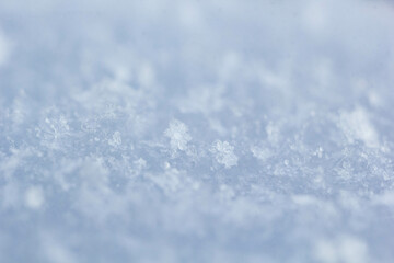 Obraz premium natural snowflakes on snow, photo of real snowflakes. Winter snow background. Snowflake close-up. Macro photo. Copy space.