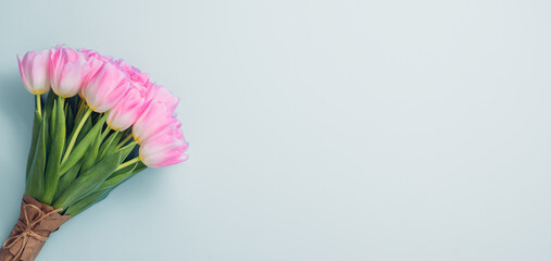 Pink tulips on blue background. Flat lay with copy space