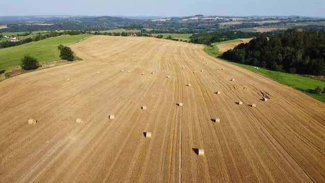 Survol d'un grand champ couvert de bottes de foins. Balles de foin &eacute;parpill&eacute;es dans une immense parcelle