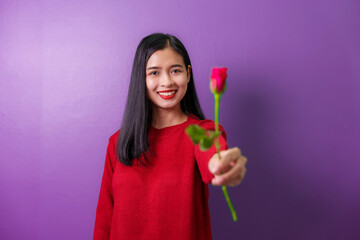 Profile portrait of asia beautiful young woman smelling and holding rose flowers isolated on violet color background for valentine day color tone