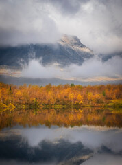 Fototapeta na wymiar Autumn forest is reflected in the water of lake in the misty mountains