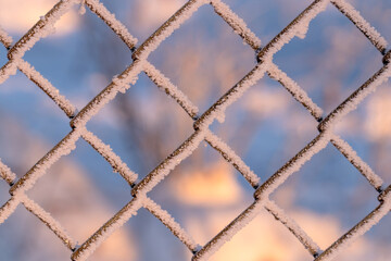 Wicker metal fence in winter covered with ice crystals in the morning sunlight.  Frost is formed under the influence of frost, wind and moisture.