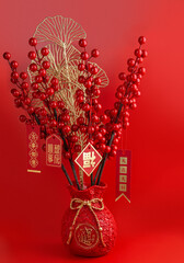 Happy Chinese New Year with Mandarin Oranges, Chinese Sentences respectively means "luck", "get what one wants", "good luck", "all is well", on the red envelopes (Ang pao) means "all things matters".