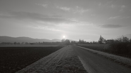 Walk in the sunset black and white