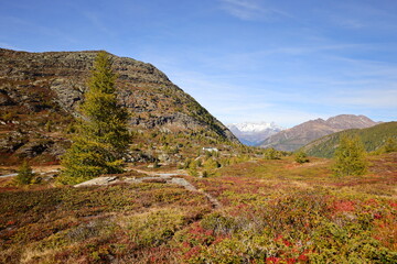 The Simplon Pass is a high mountain pass between the Pennine Alps and the Lepontine Alps in Switzerland.