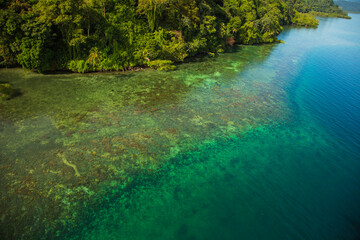 turquoise caribbean coral cost 