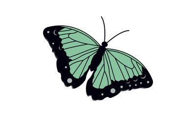 Butterfly vector illustration. Business sign template for Beauty Industry, Salon, Cosmetic labeling, Boutique. Vector graphics for concept of femininity, beauty, freedom.