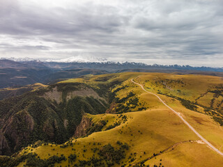 Car Moving among Green Hills and Forest.