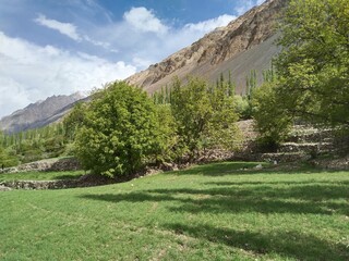 Yasin Valley, Gilgit-Baltistan, Pakistan