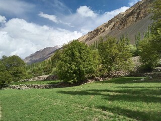 Yasin Valley, Gilgit-Baltistan, Pakistan