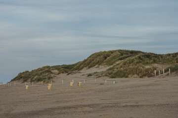landscape with dunes, sandy Northsea beach and trash cans on the island of Goeree Overflakkee at sunset