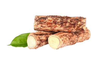 Tanaka isolated on white background