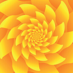 Fototapeta na wymiar Beautiful abstract square pattern, illustration of an unusual flower with numerous gradient sharp orange-yellow petals that are layered on top of each other. Spiral effect. 