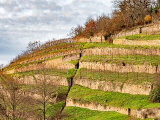 Historische Terassen der Klostergärten am Kloster Maulbronn