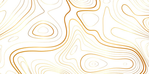 Fototapeta na wymiar Luxury golden topography contour line isolated on white background