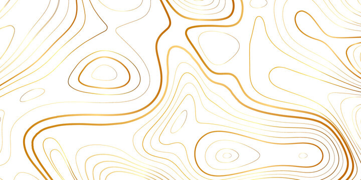 Luxury golden topography contour line isolated on white background