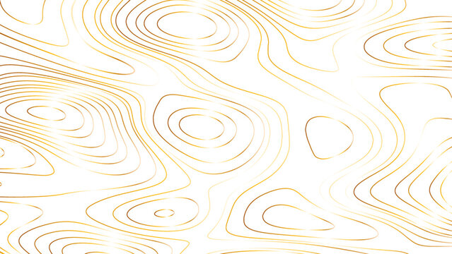 Golden topography contour line isolated on white background. Pattern of contour lines. Abstract vector illustration