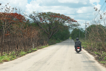 Obraz premium Long road with a moto and a big tree