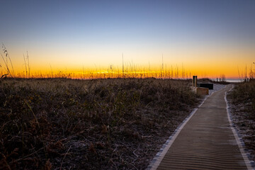 Covered with a carpet pathway to the beach leading to sunrise on the shoreline in Hilton Head...