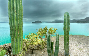 Baja California Mexico